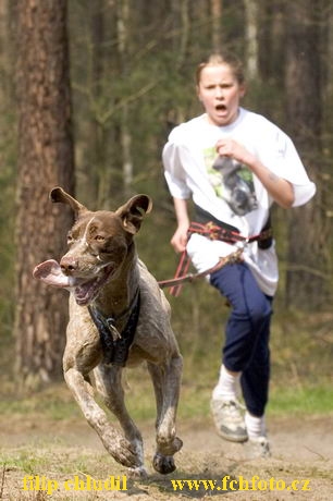 Polsko 2005 - 361.jpg